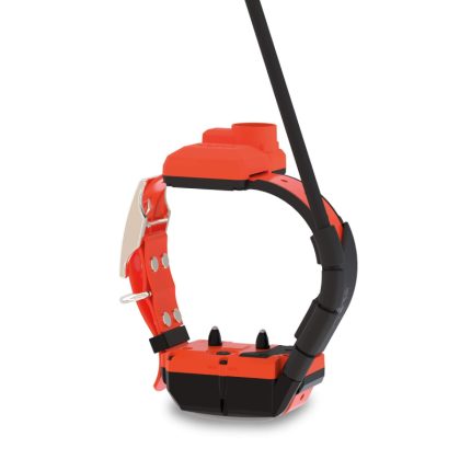 DOGTRACE Collare Aggiuntivo DOG GPS X40TB CON MODULO ADDESTRATIVO E BEEPER