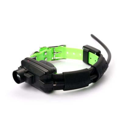 DOGTRACE Collare Aggiuntivo DOG GPS X30TB CON MODULO ADDESTRATIVO E BEEPER GREEN